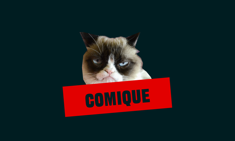 mot clé comique avec un chat de meme