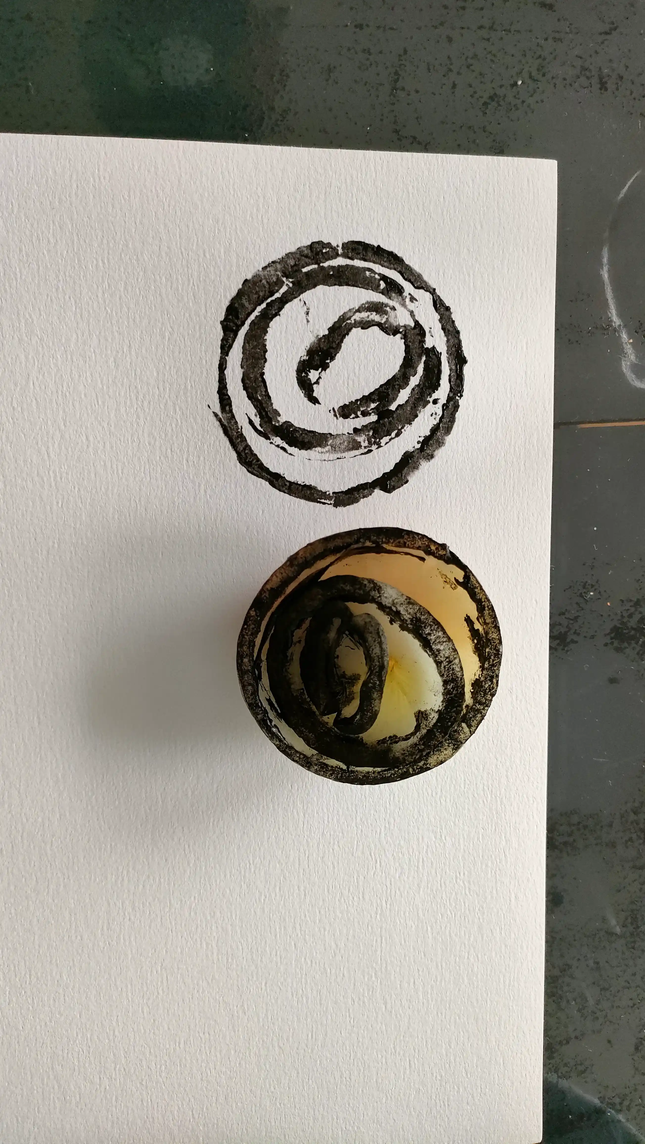 Oignon avec de la peinture et son empreinte