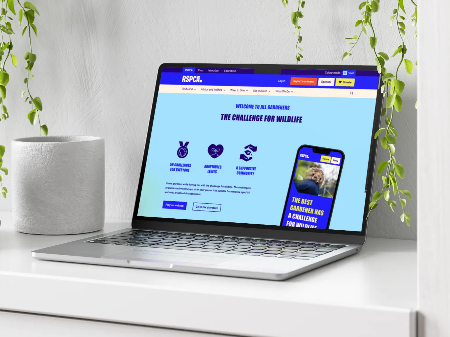 Site internet de présentation du challenge