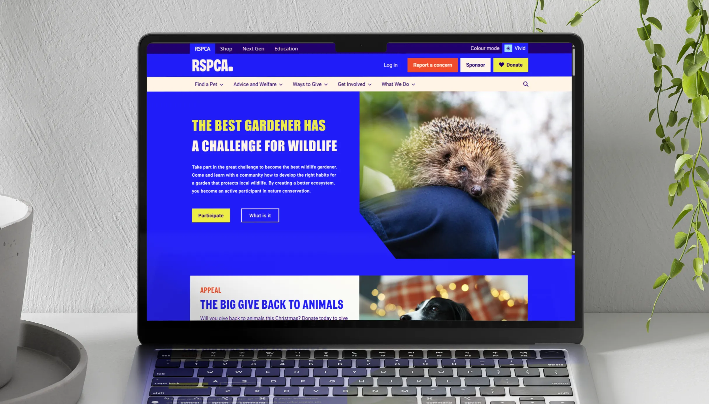 Bannière sur le site de la RSPCA