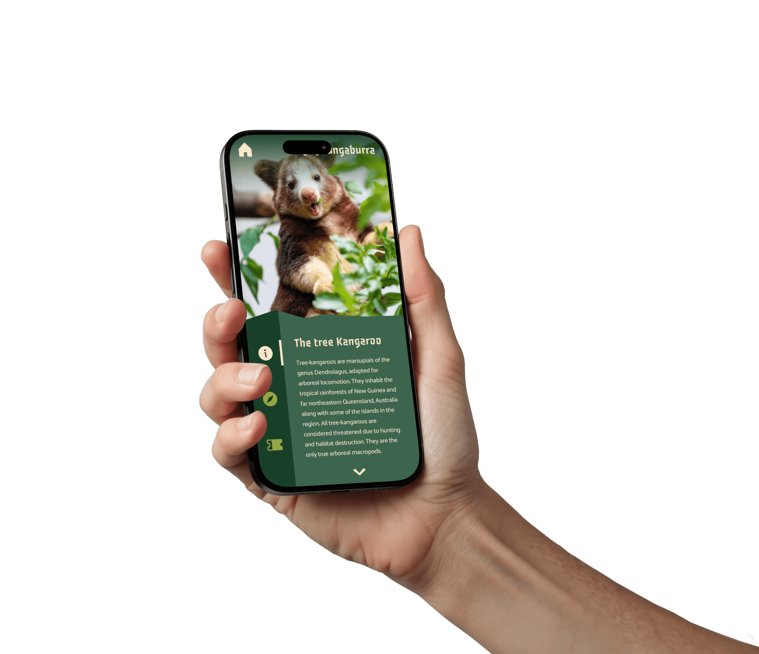 Application mobile liée à l'affiche