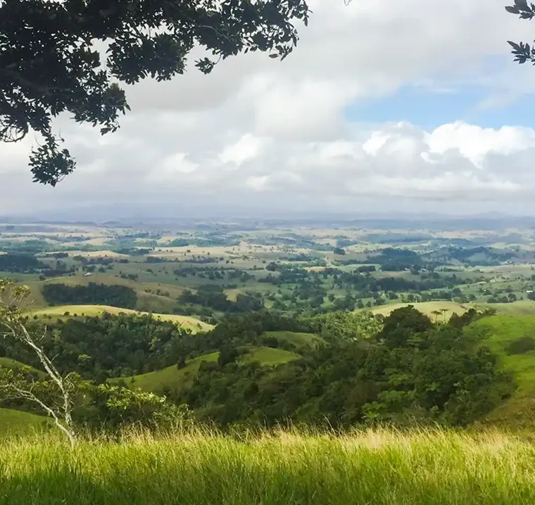 Paysage valonné de la région de Yungaburra